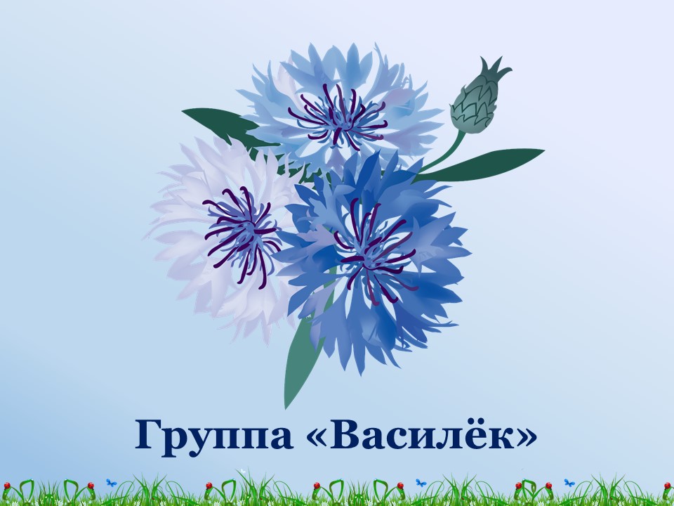Вася василек песня текст. Эмблема Василек. Эмблема Василек для детского сада. Картинка Василек для детей в детском саду. Василек картинкаьева программа воспитания.